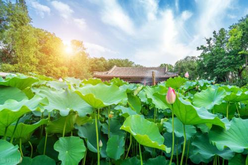 北京旅游景点大全排名(北京旅游推荐十大必去景点)插图8