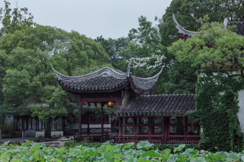 苏州十大热门景点排行榜(苏州十大必玩景点)插图