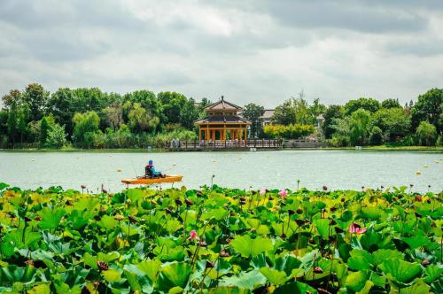 苏州十大热门景点排行榜(苏州十大必玩景点)插图5