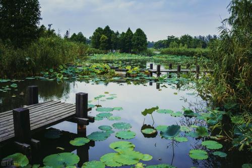 苏州十大热门景点排行榜(苏州十大必玩景点)插图6