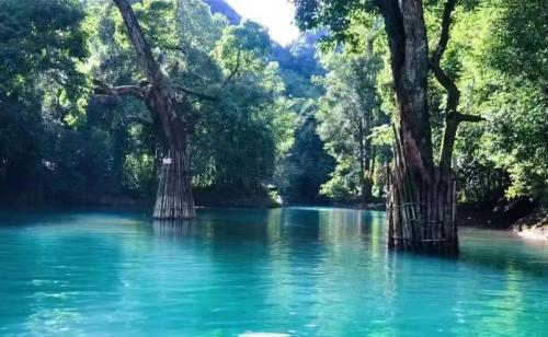 贵州十大旅游景点(贵州十大必玩景点你去过几个)插图24