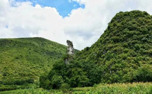 贵州十大旅游景点(贵州十大必玩景点你去过几个)插图33
