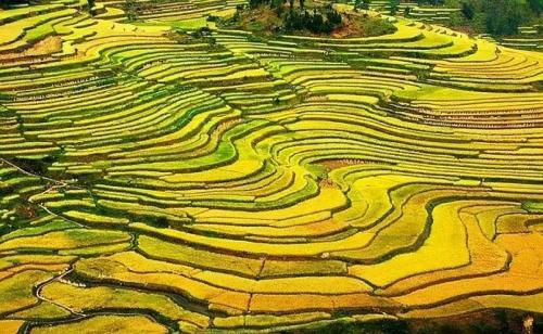 贵州十大旅游景点(贵州十大必玩景点你去过几个)插图42