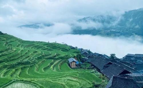 贵州十大旅游景点(贵州十大必玩景点你去过几个)插图44