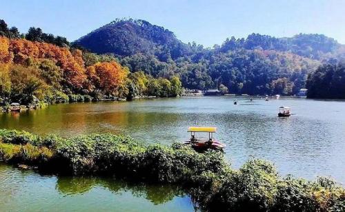 贵州十大旅游景点(贵州十大必玩景点你去过几个)插图47