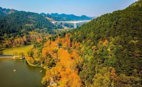 贵州十大旅游景点(贵州十大必玩景点你去过几个)插图45