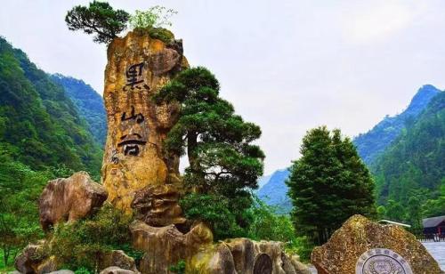 重庆十大旅游景点(重庆十大必玩景点去过九处才算玩转重庆)插图31