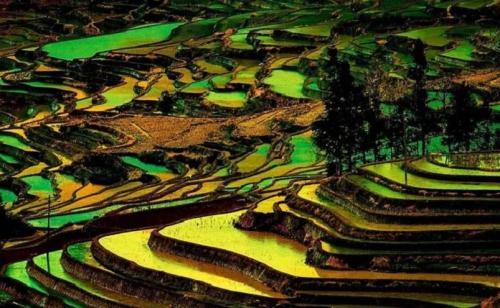云南十大旅游景点(云南十大必玩景点你去过几个)插图