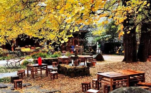 云南十大旅游景点(云南十大必玩景点你去过几个)插图23