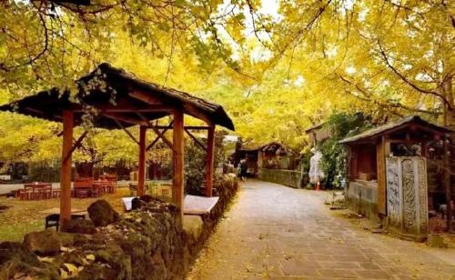 云南十大旅游景点(云南十大必玩景点你去过几个)插图24
