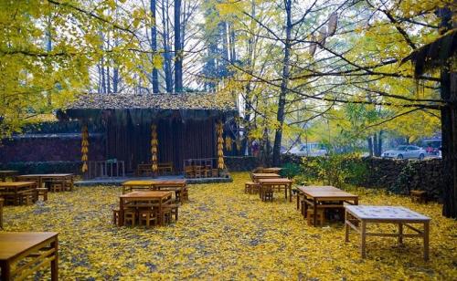 云南十大旅游景点(云南十大必玩景点你去过几个)插图25