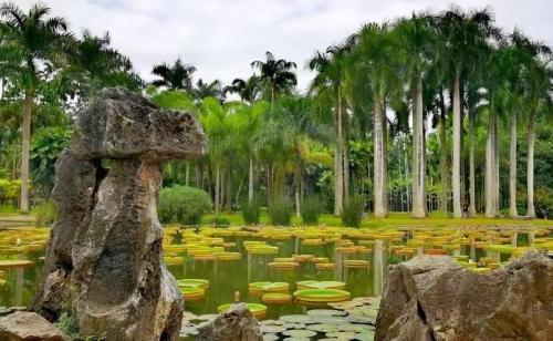 云南十大旅游景点(云南十大必玩景点你去过几个)插图35
