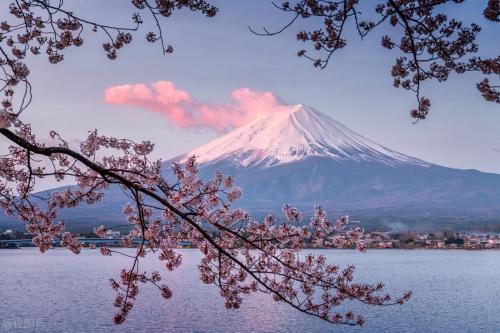 日本十大旅游景点(日本十大最好玩的景点)插图