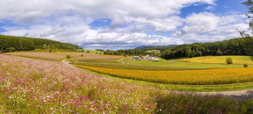 日本十大旅游景点(日本十大最好玩的景点)插图4