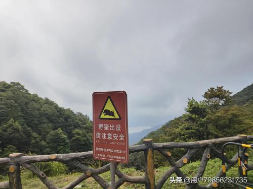 深圳十大旅游景点(深圳必须旅游景点TOP10)插图1