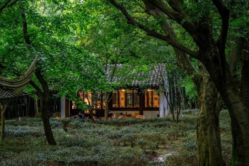 苏州十大旅游景点(苏州游玩必去的10大景点)插图11