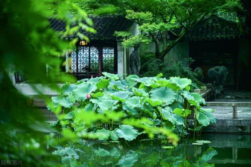 苏州十大旅游景点(苏州游玩必去的10大景点)插图15