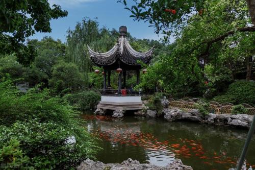 苏州十大旅游景点(苏州游玩必去的10大景点)插图37