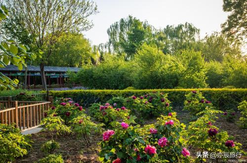 郑州十大旅游景点(郑州必去十大旅游景点推荐)