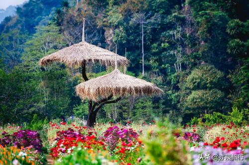 南宁十大旅游景点(南宁十大避暑旅游景点)插图14