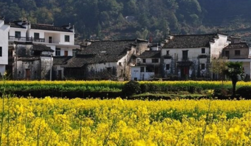 宁夏十大旅游景点(宁夏周边10个适合自驾的古镇村落)插图3
