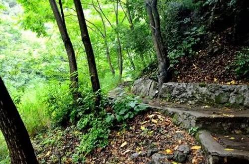 天津兴隆旅游景点(2023年避暑游之兴隆花市村)插图2