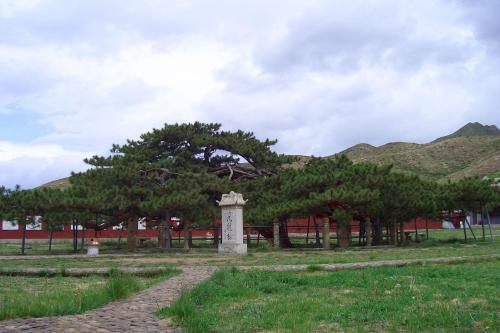 丰宁坝上晚上好玩的地方(不可错过的丰宁坝上10个景点)插图9