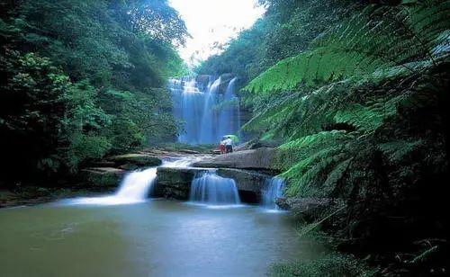 赤水四洞沟景区门票多少(贵州赤水四洞沟景区旅游攻略)插图1