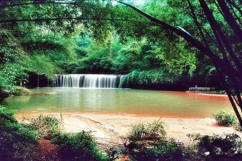 赤水四洞沟景区门票多少(贵州赤水四洞沟景区旅游攻略)插图2
