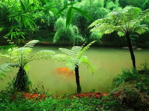 赤水四洞沟景区门票多少(贵州赤水四洞沟景区旅游攻略)插图3