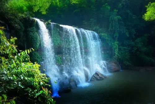 赤水四洞沟景区门票多少(贵州赤水四洞沟景区旅游攻略)插图5
