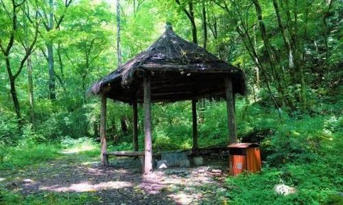 秦岭十大旅游景点(陕西秦岭最值得去的几个地方)插图3