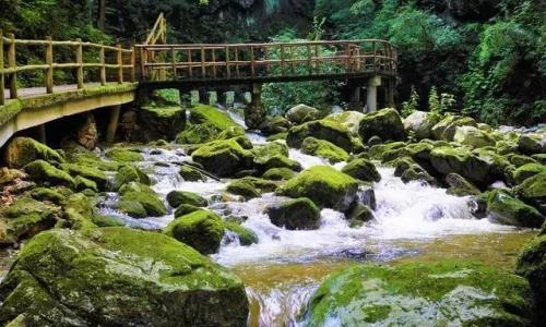 秦岭十大旅游景点(陕西秦岭最值得去的几个地方)插图5