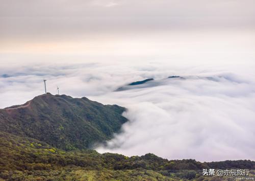 茂名十大旅游景点(茂名十大避暑旅游景点)插图7