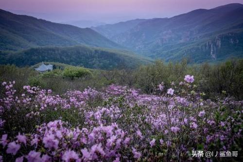 秦皇岛十大旅游景点(秦皇岛十大必游景点)插图2