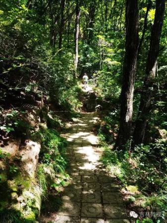 吉林市拉法山门票(蛟河拉法山国家森林公园旅游攻略)插图11