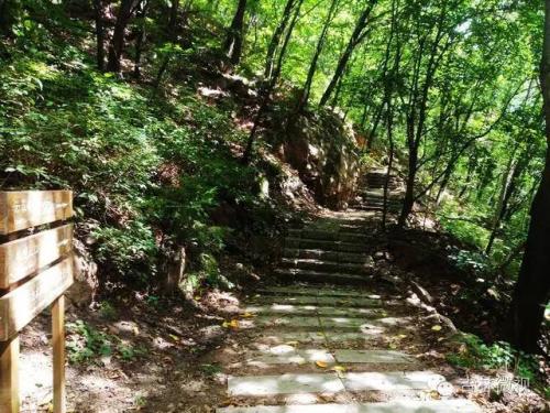 吉林市拉法山门票(蛟河拉法山国家森林公园旅游攻略)插图10