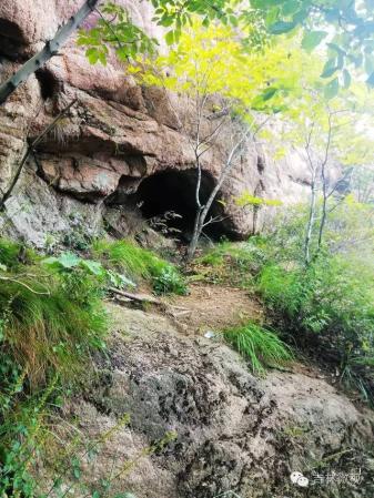 吉林市拉法山门票(蛟河拉法山国家森林公园旅游攻略)插图15