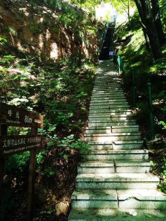 吉林市拉法山门票(蛟河拉法山国家森林公园旅游攻略)插图18