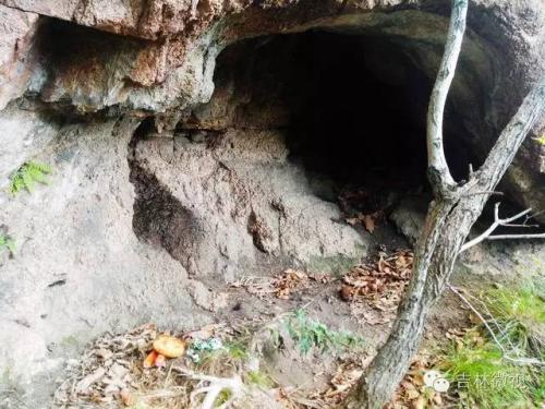 吉林市拉法山门票(蛟河拉法山国家森林公园旅游攻略)插图16