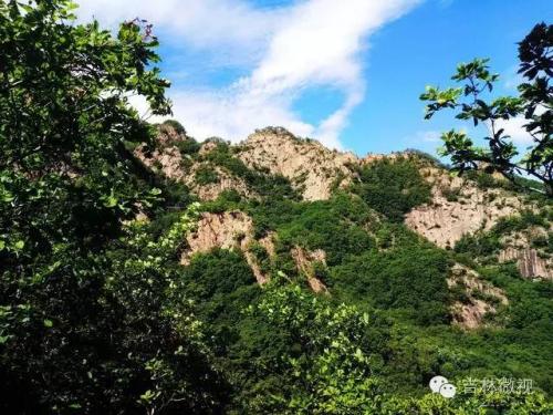 吉林市拉法山门票(蛟河拉法山国家森林公园旅游攻略)插图22