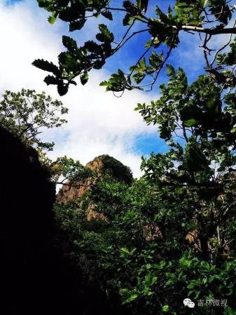 吉林市拉法山门票(蛟河拉法山国家森林公园旅游攻略)插图23