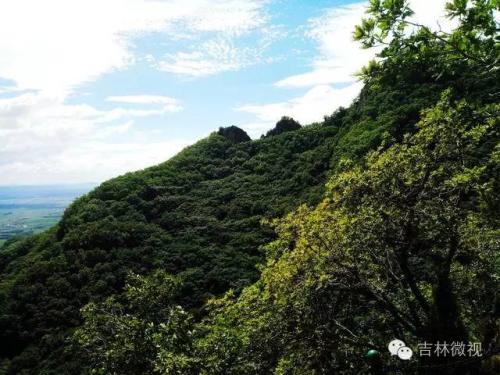吉林市拉法山门票(蛟河拉法山国家森林公园旅游攻略)插图27