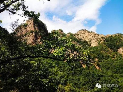 吉林市拉法山门票(蛟河拉法山国家森林公园旅游攻略)插图26