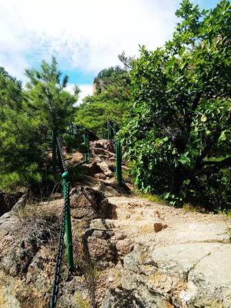 吉林市拉法山门票(蛟河拉法山国家森林公园旅游攻略)插图29