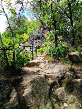 吉林市拉法山门票(蛟河拉法山国家森林公园旅游攻略)插图31