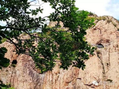 吉林市拉法山门票(蛟河拉法山国家森林公园旅游攻略)插图33
