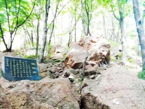 吉林市拉法山门票(蛟河拉法山国家森林公园旅游攻略)插图34