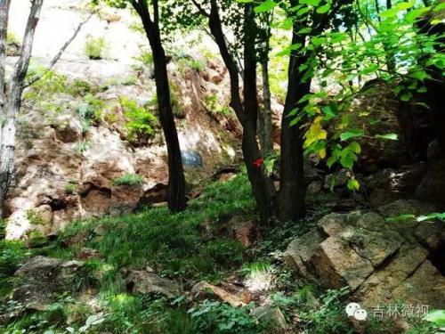 吉林市拉法山门票(蛟河拉法山国家森林公园旅游攻略)插图36