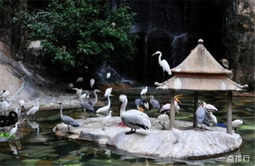 鼓浪屿有哪些景点(鼓浪屿十大著名旅游景点)插图4